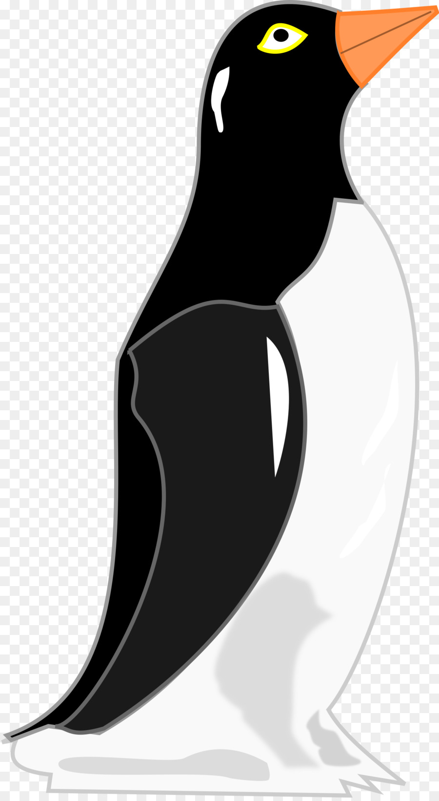 Penguin，Geladeira PNG