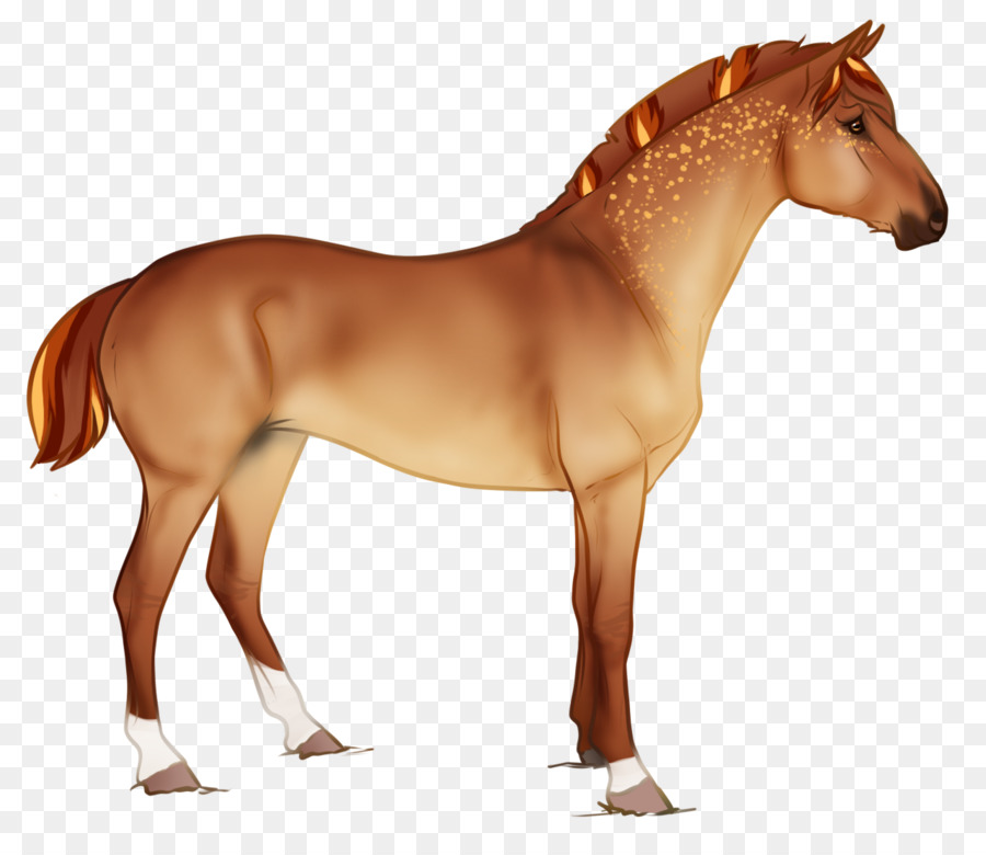 Mustang，Colt PNG