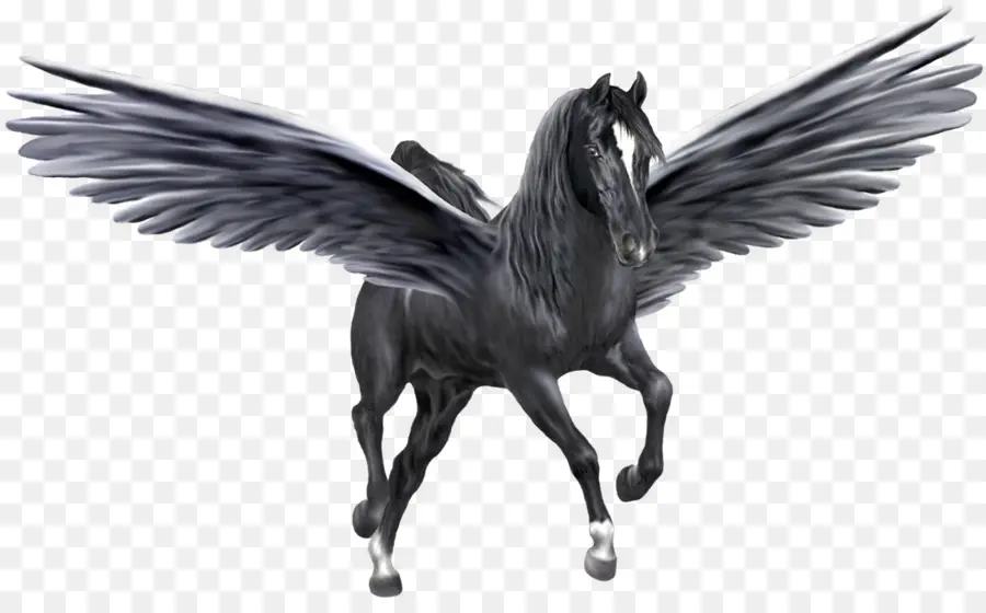 Pegasus，Unicórnio PNG