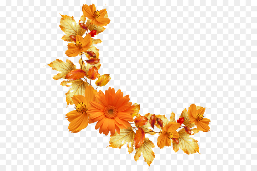 Featured image of post Fundo Flores Laranja Png Fundo laranja tropical foto gratuita