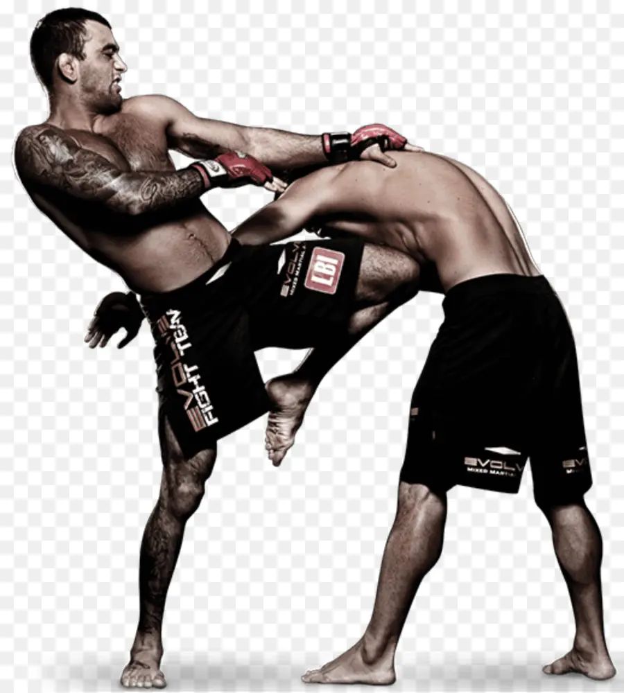 Kickboxing，Artes Marciais Mistas PNG