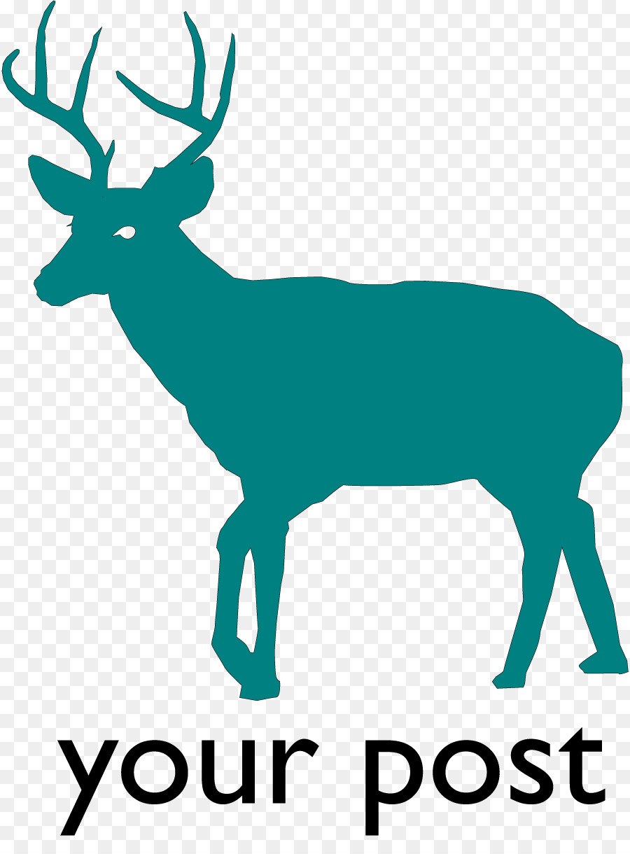 Deer，Whitetailed Veado PNG