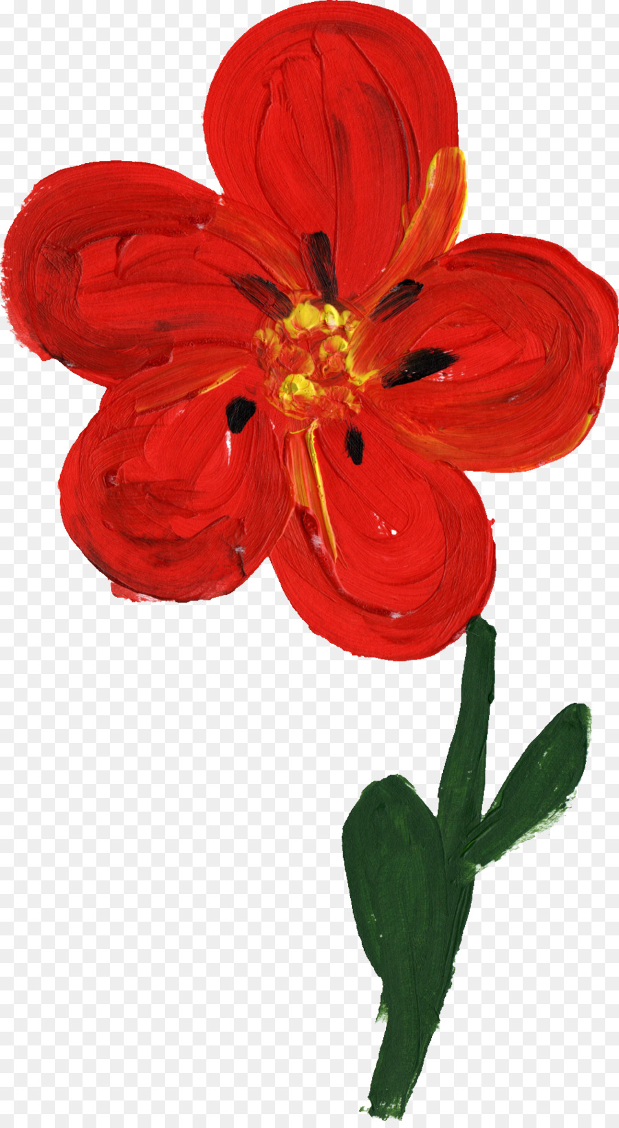 Hibisco，Vermelho PNG