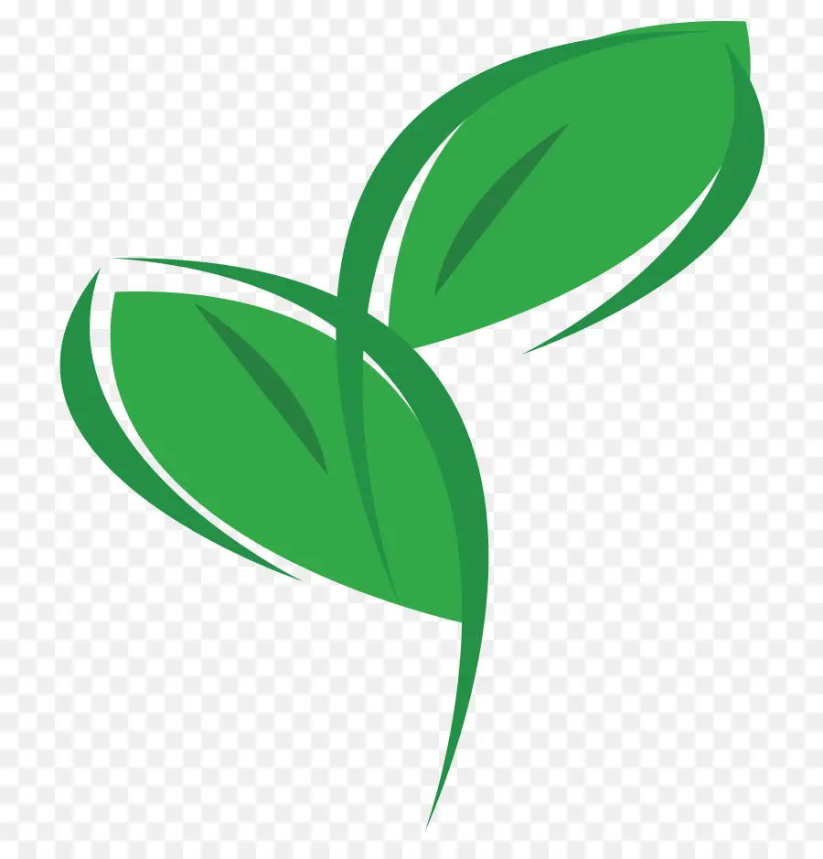 Planta，Ambientalmente Amigável PNG