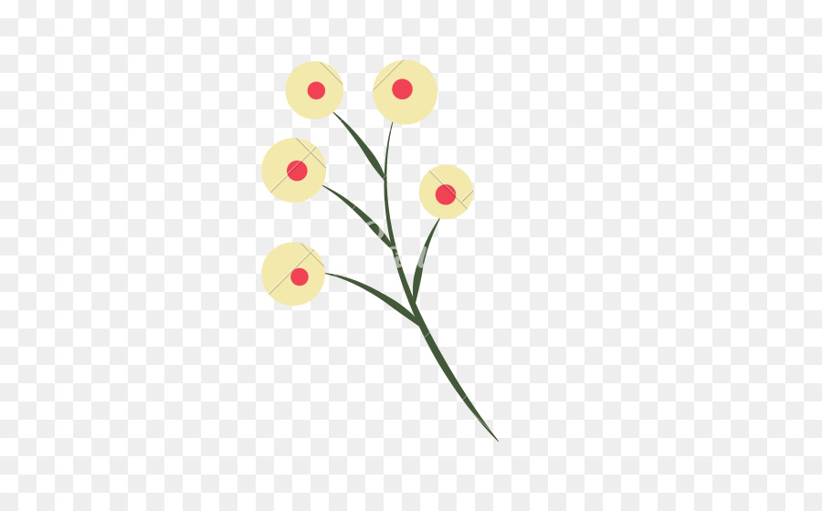 Flor，Florescer PNG