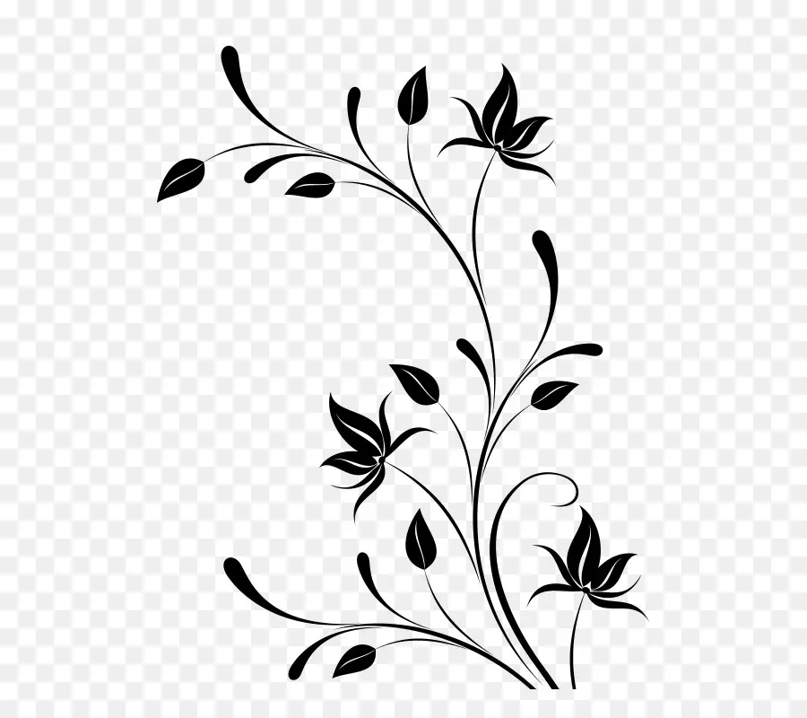 Desenho Floral，Preto PNG