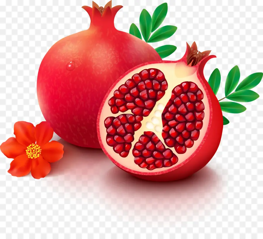 Romã，Frutas PNG