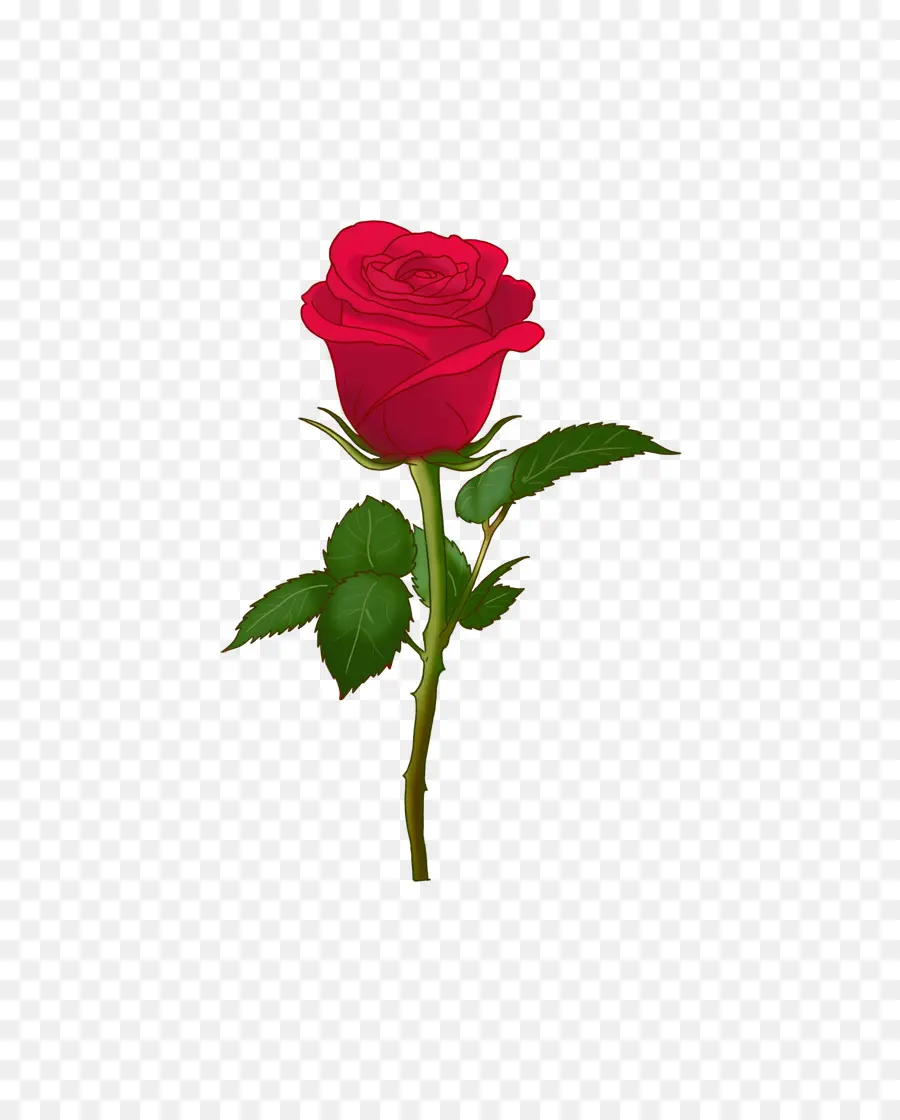 Centifolia Rosas，Emoji PNG