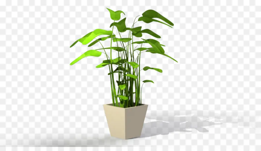 Planta Em Vaso，Verde PNG