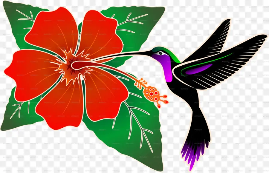 Beija Flor E Flor，Colibri PNG