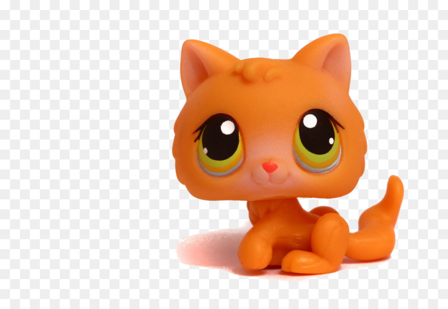 Gato Laranja，Bonitinho PNG