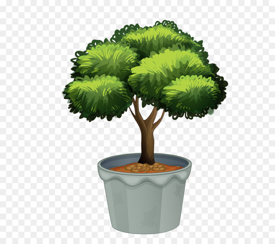 Planta De Casa，Planta PNG