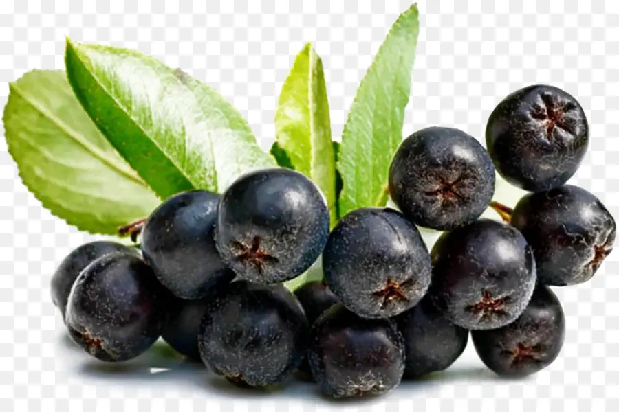 Suco De，Aronia Melanocarpa PNG