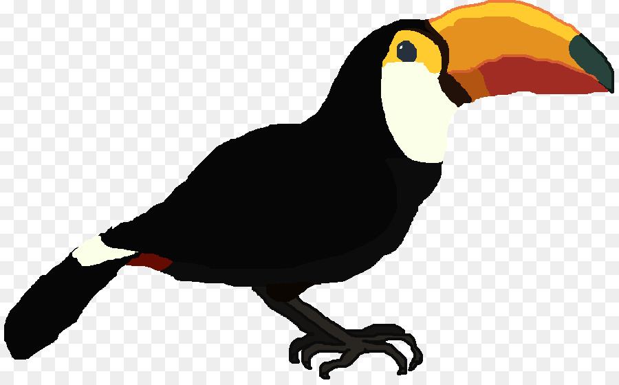 Pássaro De Desenho Animado，Animal PNG