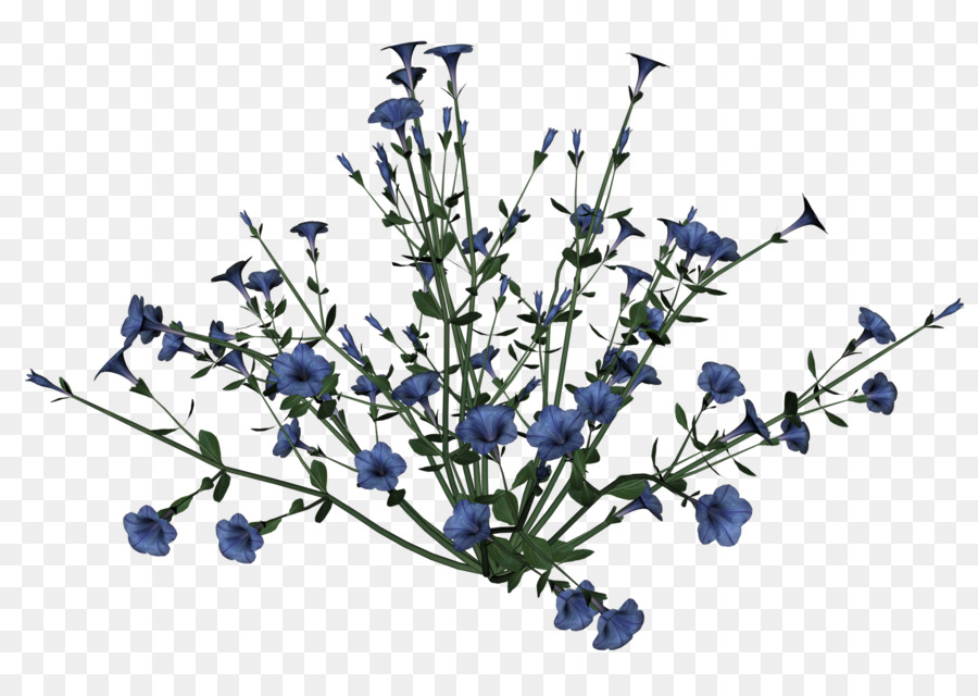 Flores Azuis，Florescer PNG