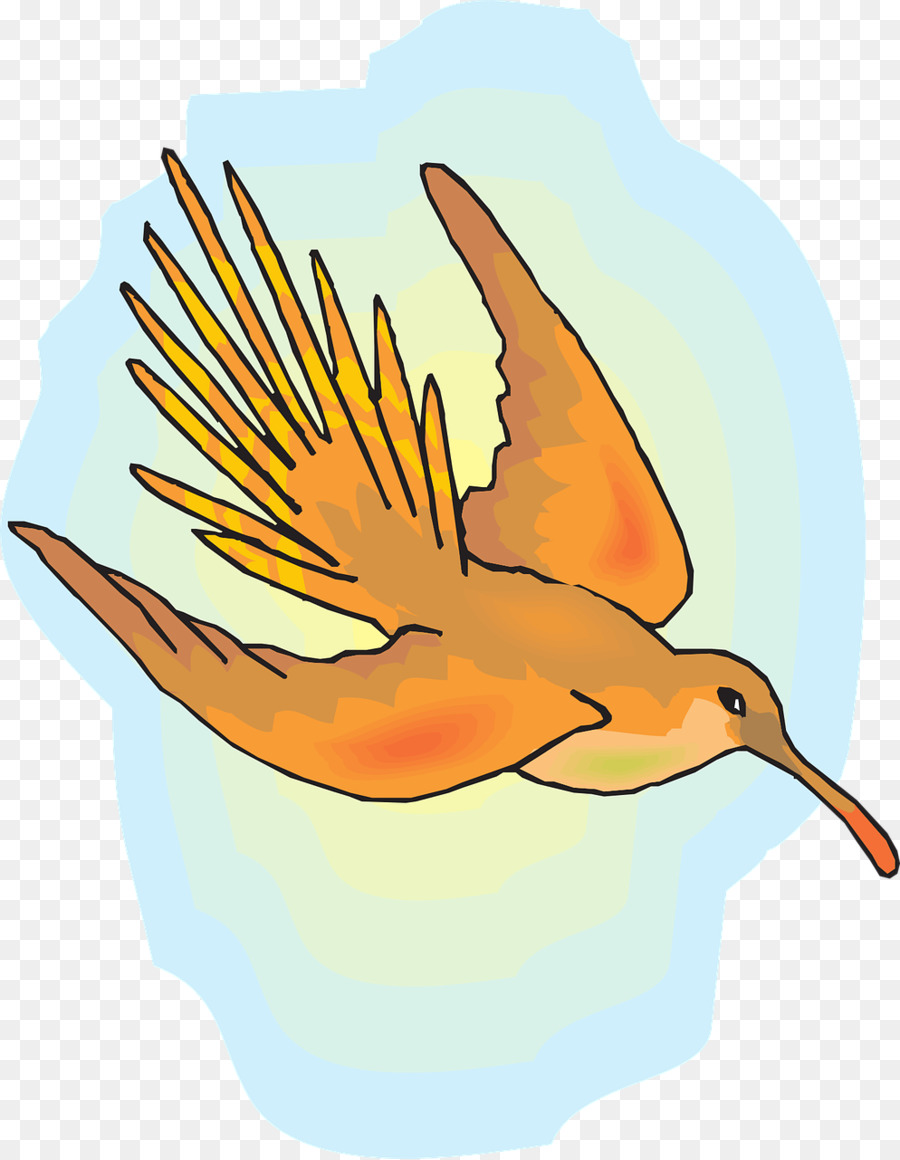 Aves，Beija Flor PNG