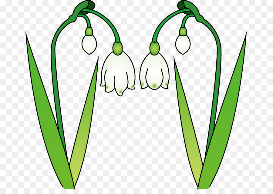 Flor，Snowdrop PNG