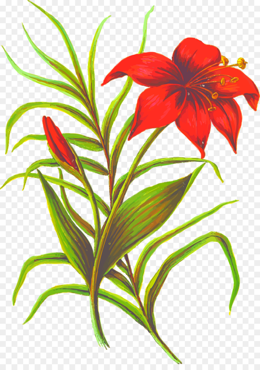 Flor，Silhueta PNG