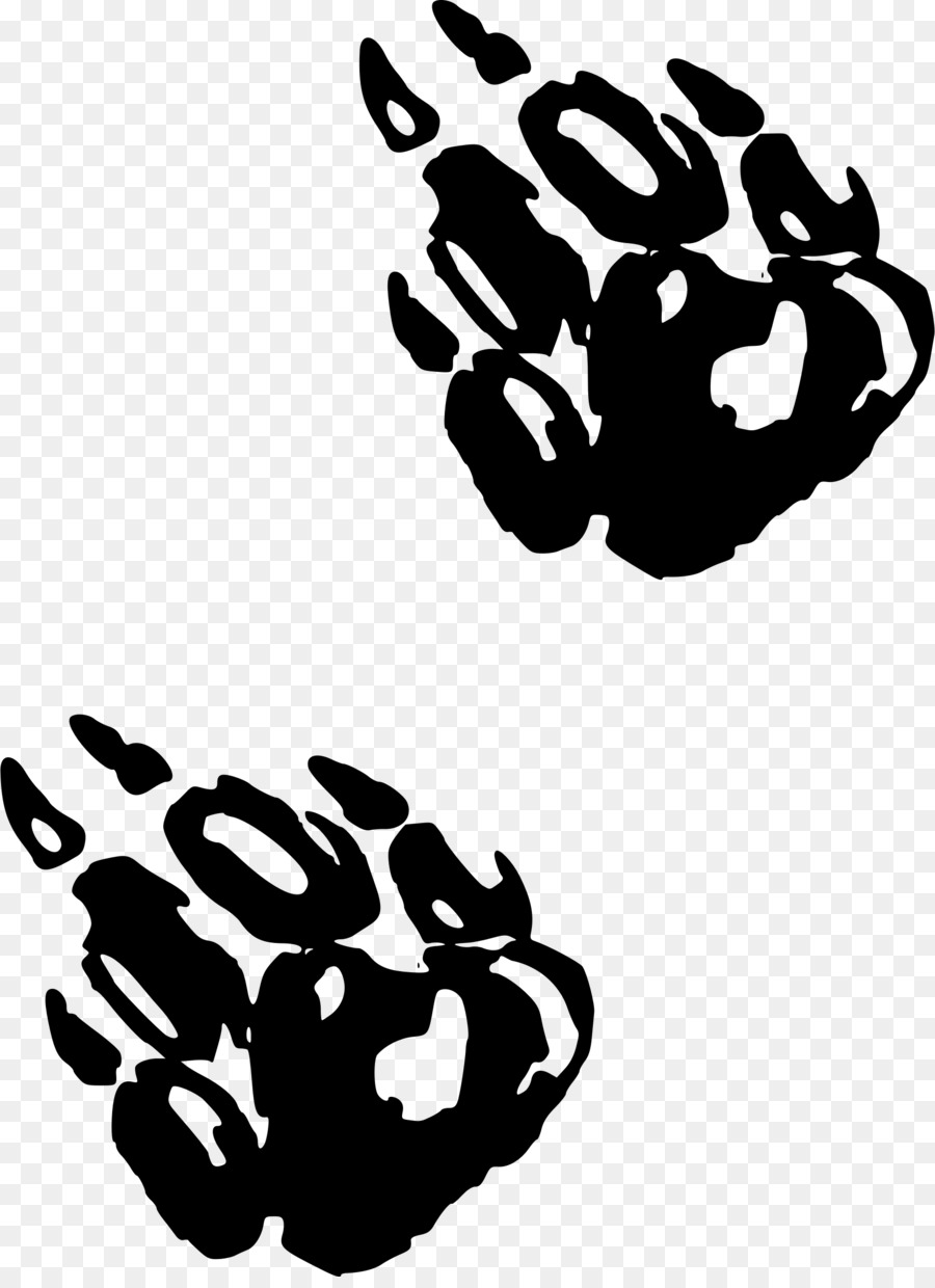 Impressões De Patas De Urso，Pata PNG