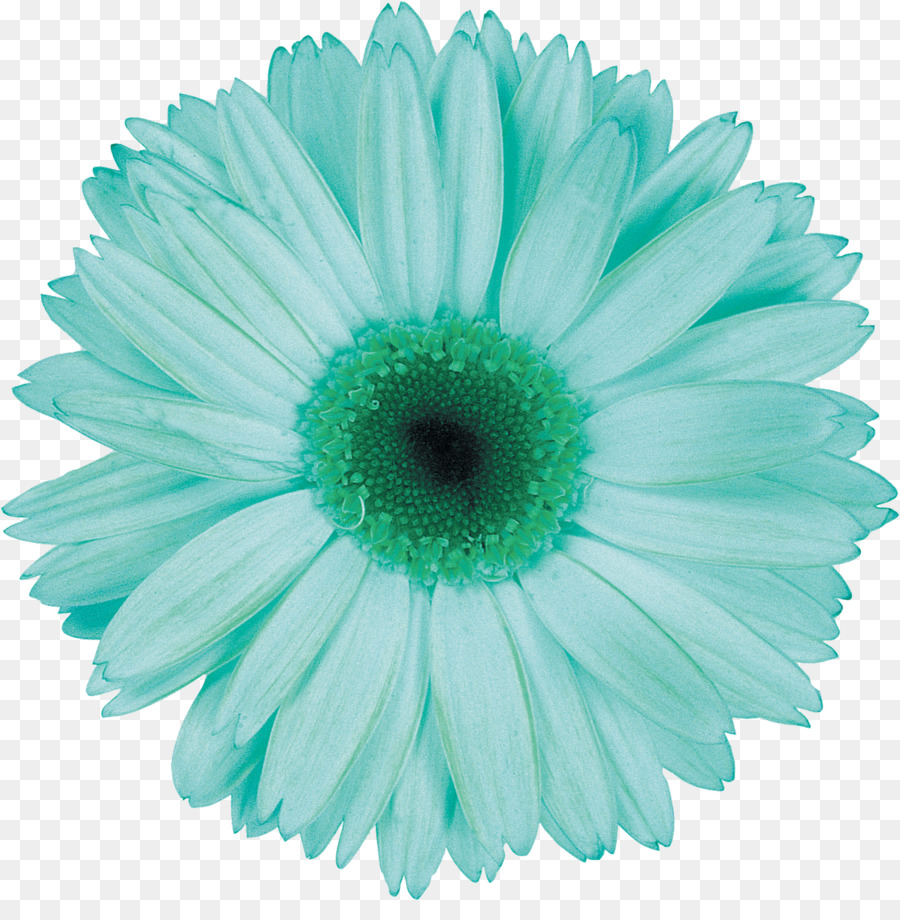 Flor，Azul PNG