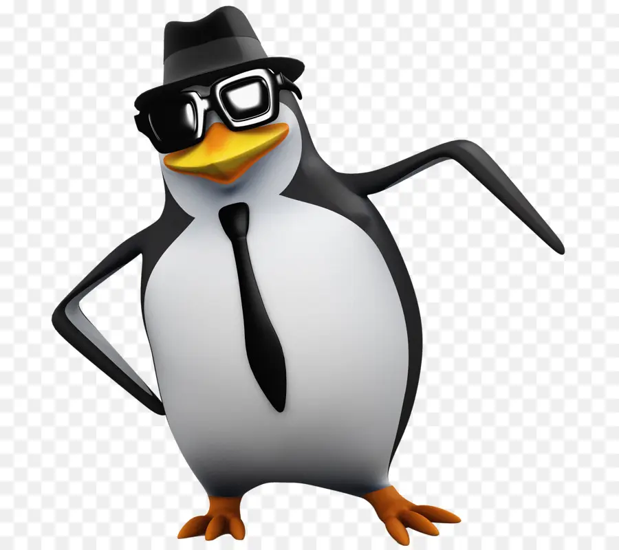 Penguin，Fotografia De Stock PNG