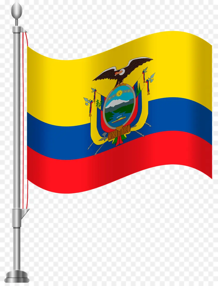 Bandeira Do Equador，Amarelo PNG