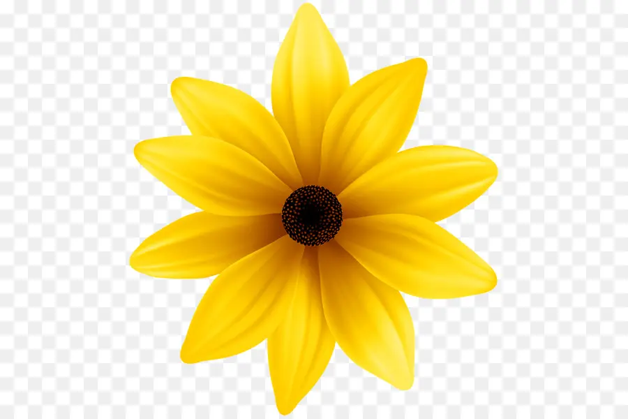 Flor，Amarelo PNG