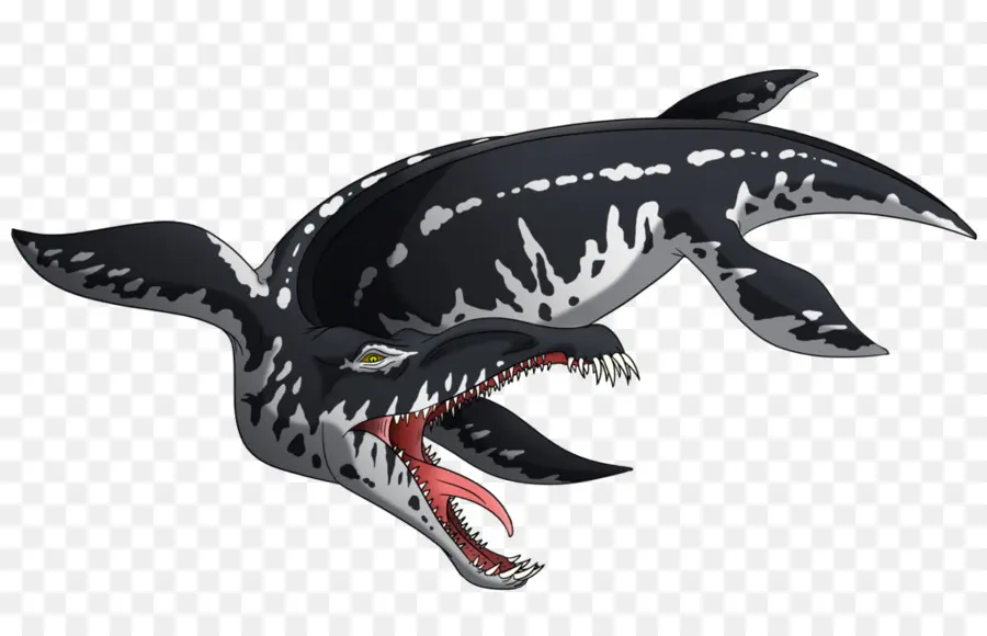 Arca De Sobrevivência Evoluiu，Liopleurodon PNG