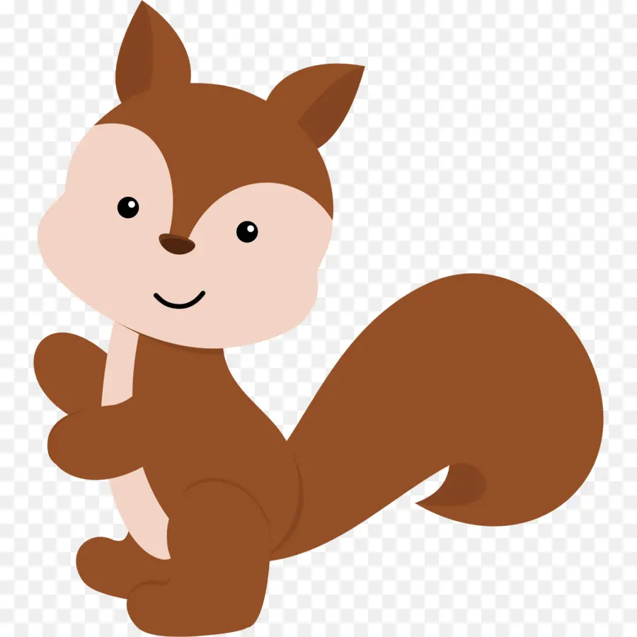 Esquilo，Bebê Esquilos PNG
