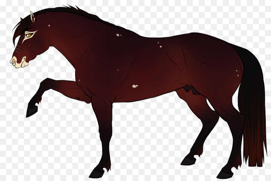 Cavalo Correndo，Animal PNG