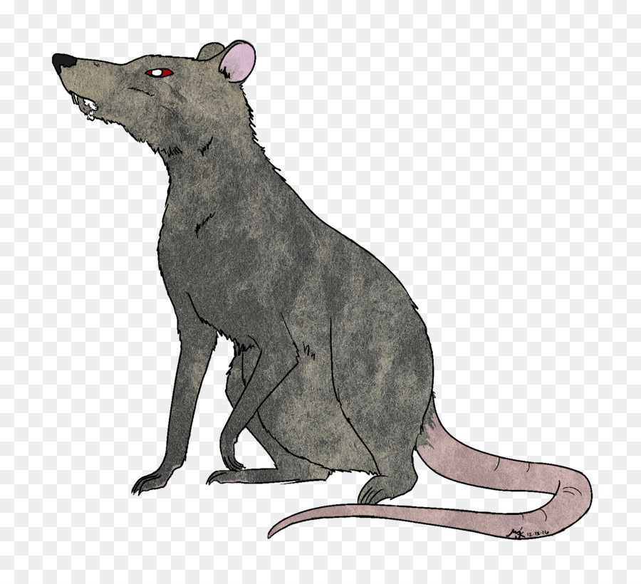 Rat，Roedores PNG