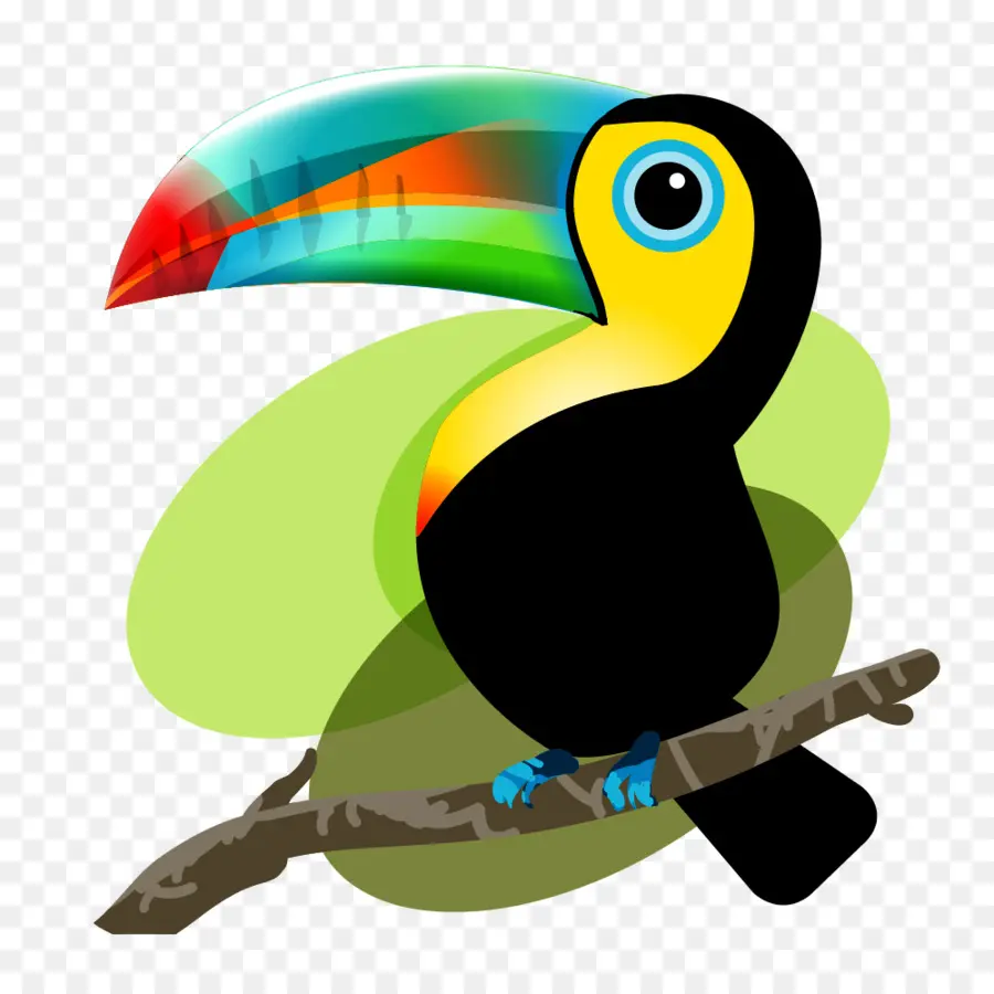 Iquitos，Aves PNG