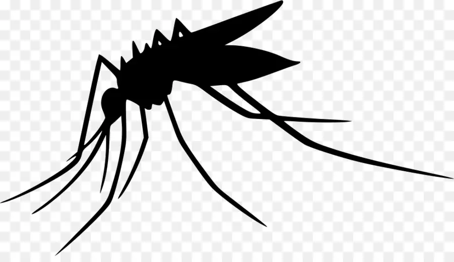 Mosquito，ícones Do Computador PNG