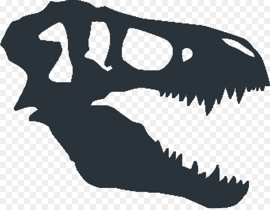 Dinossauro de esqueleto, desenhos animados do osso de dinossauro, fóssil de  dinossauro, fotografia, tiranossauro, personagem fictício png