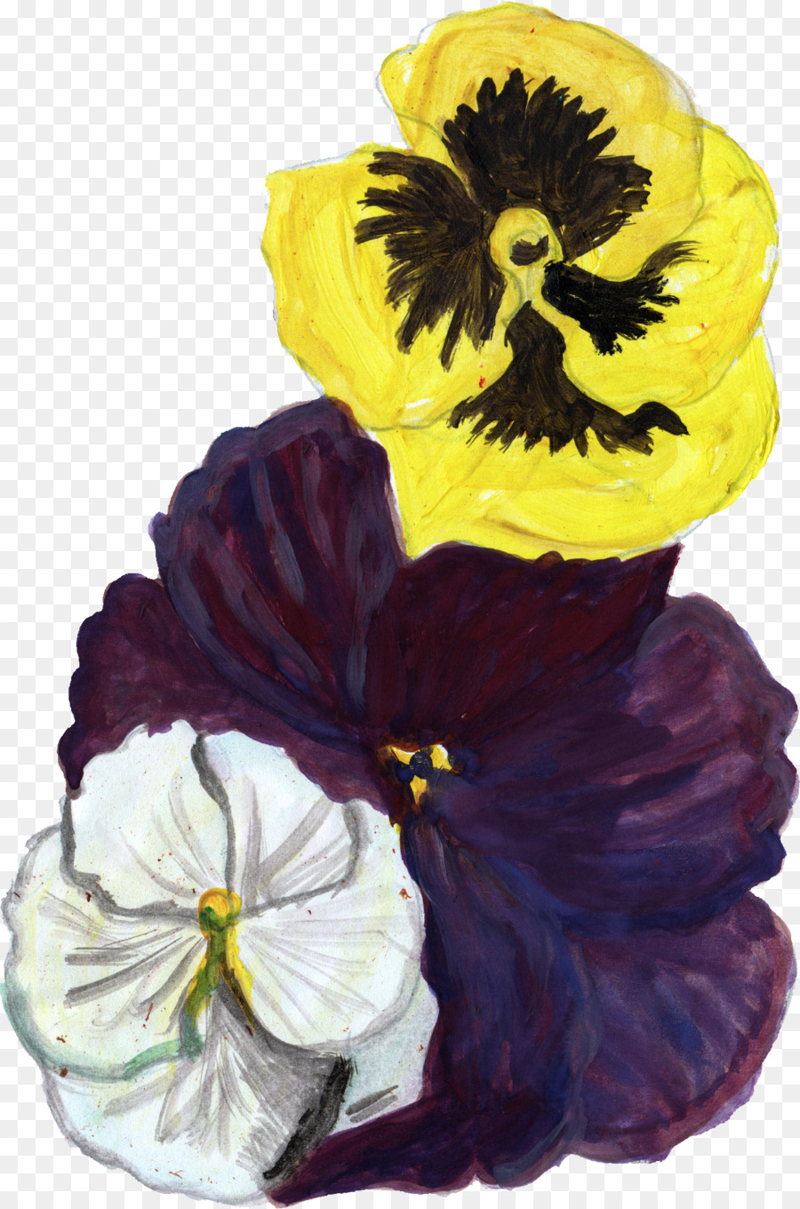 Havaí，Flor PNG