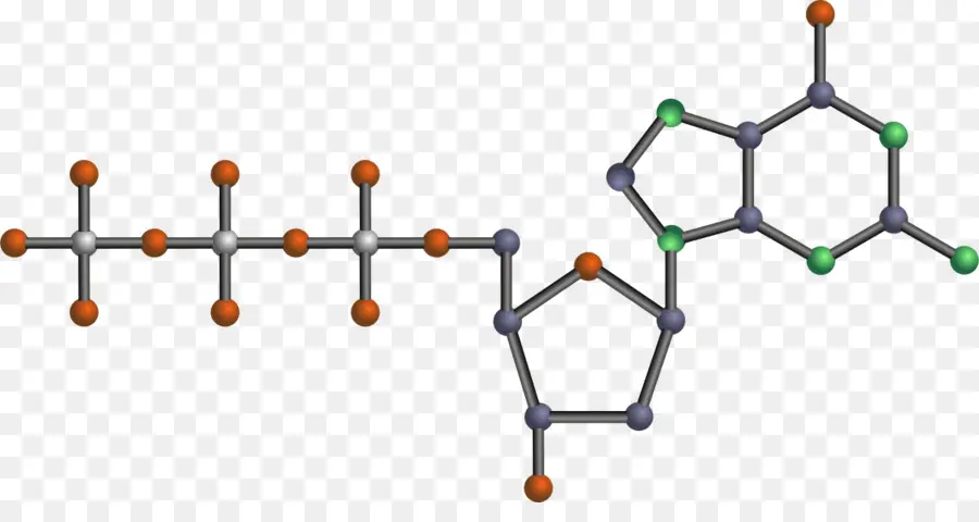 Estrutura Molecular，Química PNG