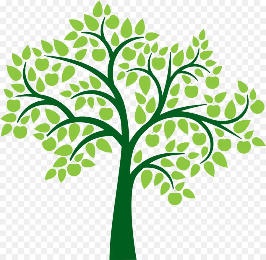 árvore，árvore Genealógica PNG