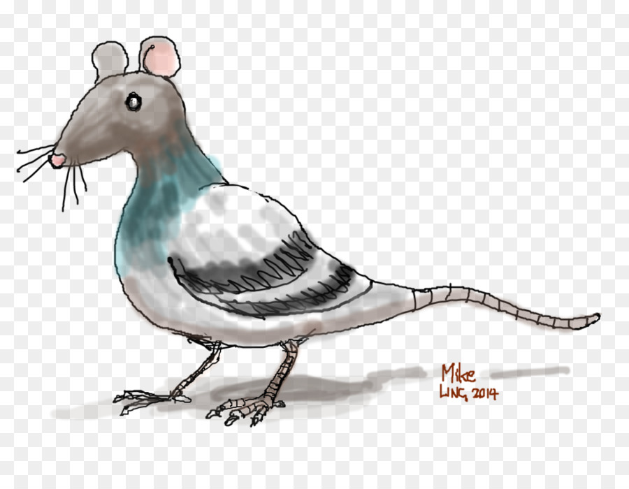 Híbrido Rato Pombo，Desenho Animado PNG