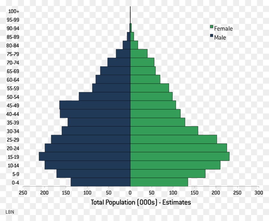 Pirâmide Populacional，Demografia PNG