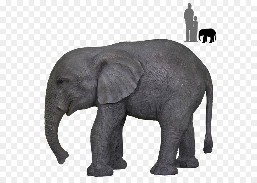 Maldon，Elefante Africano PNG