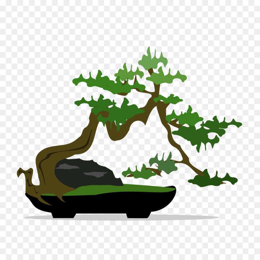 Árvore Bonsai，Miniatura PNG