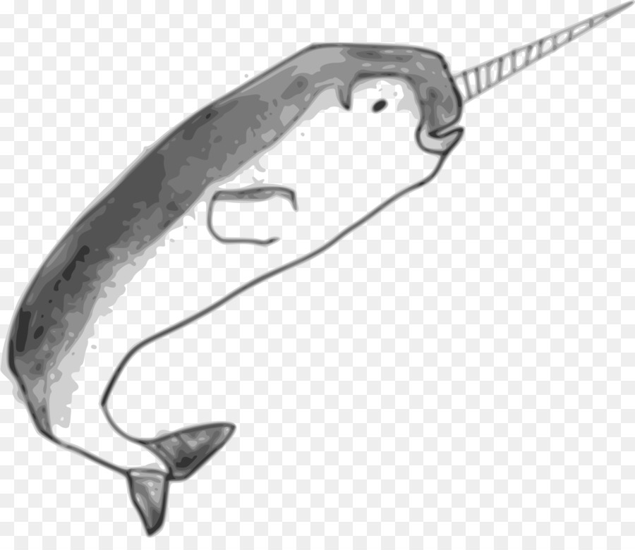 Narwhal，Baleias Dentadas PNG