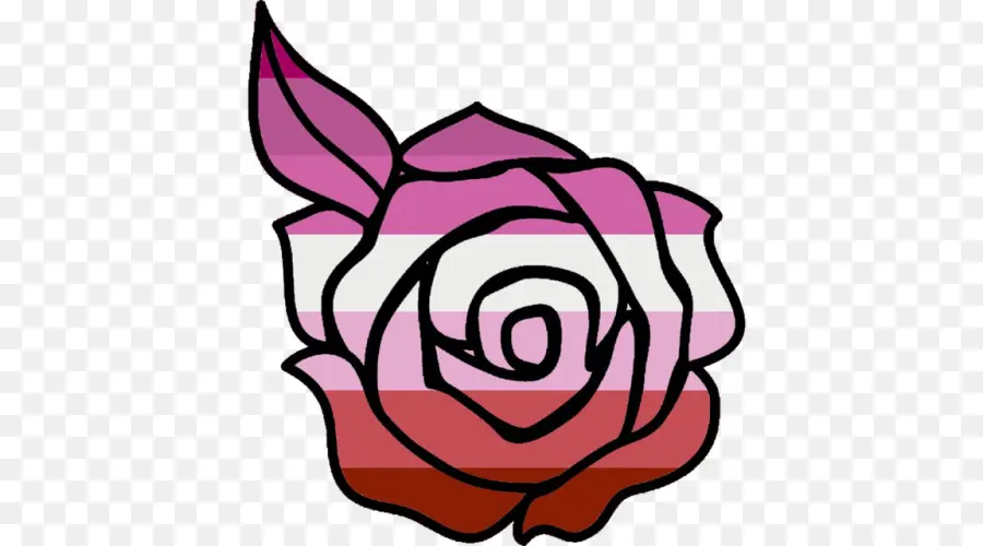 Rosa，Florescer PNG