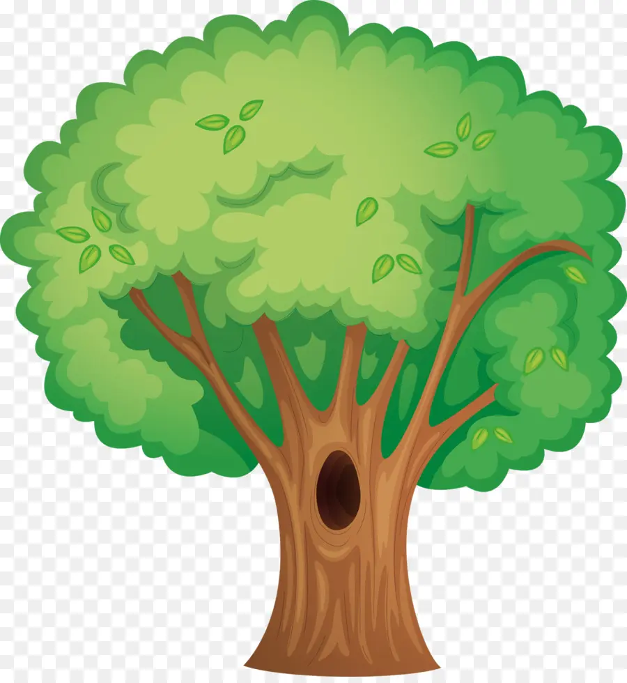 árvore，Oco De árvore PNG