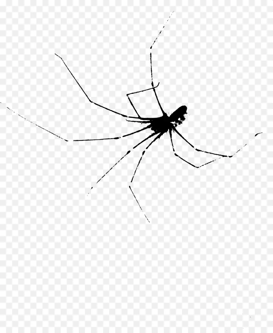 Aranha，Viúva De Aranhas PNG