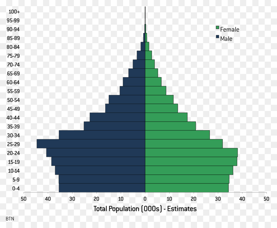 Pirâmide Populacional，Demografia PNG