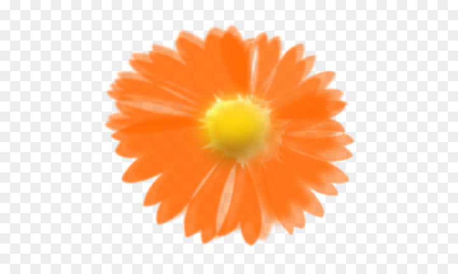 Flor Amarela，Flor PNG