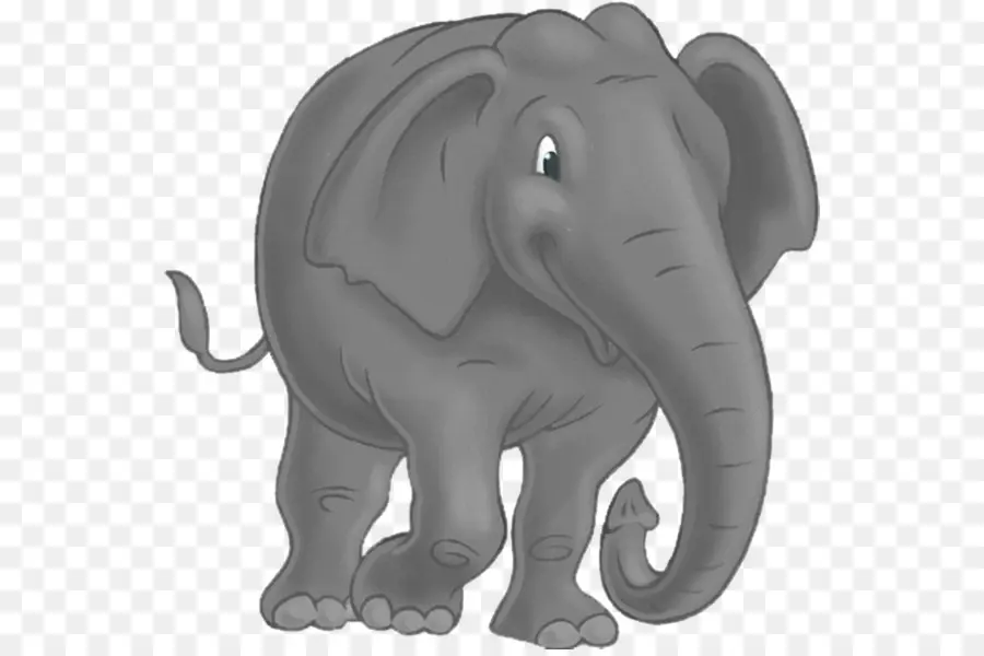 Elefante，Presas PNG