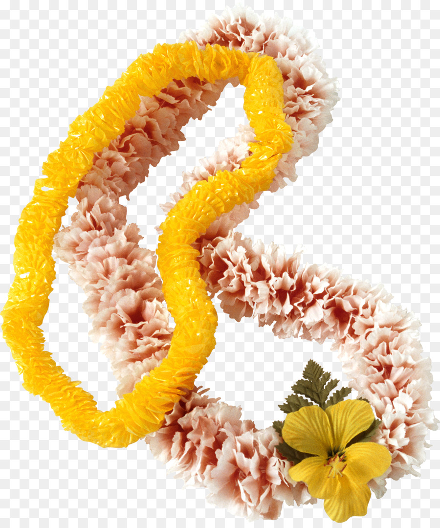 Flor Lei，Festão PNG