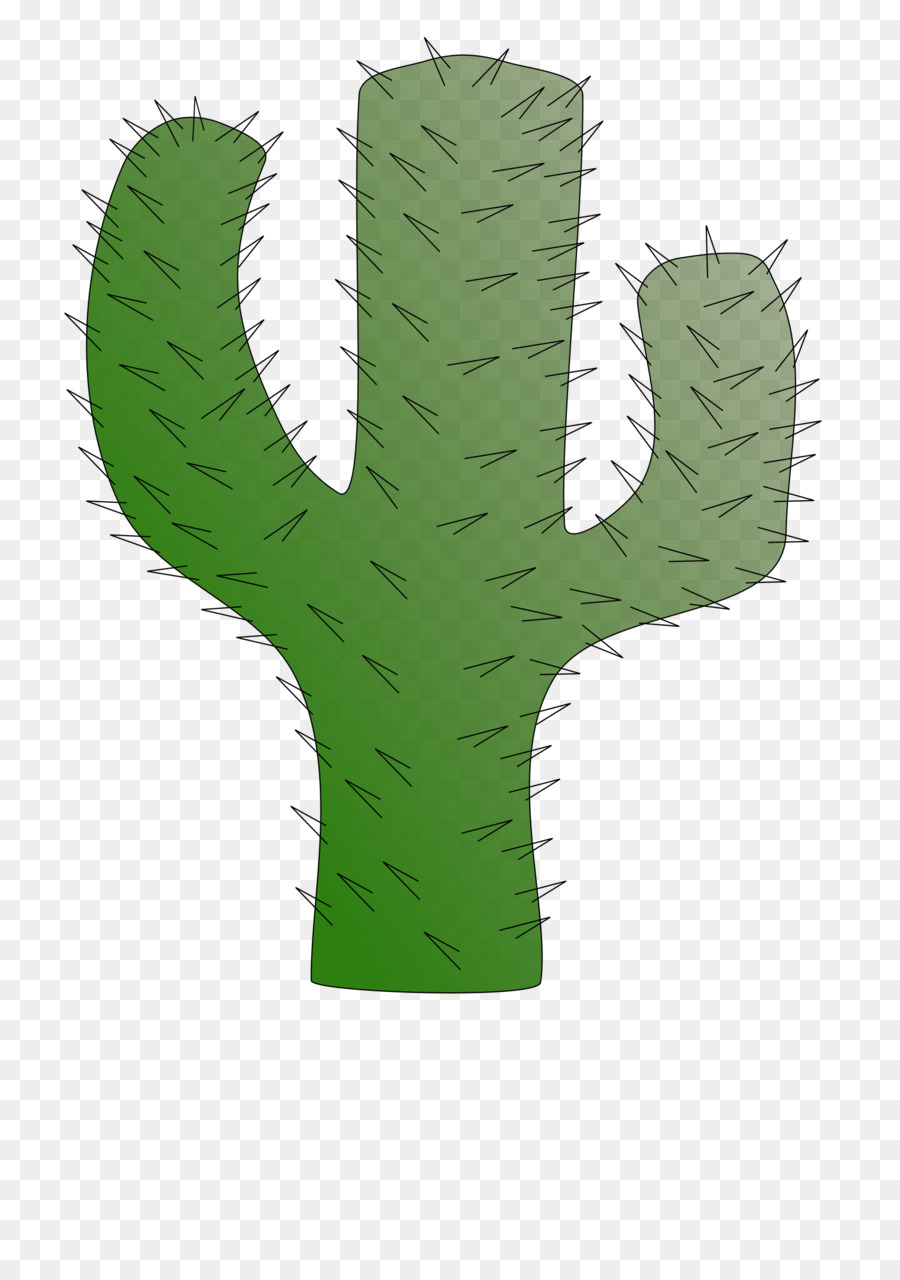 Cactaceae，Saguaro PNG